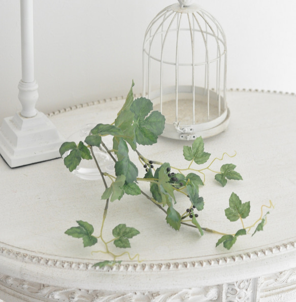 【枯れない観葉植物】実付き☆アイビーのツルのウォーターアレンジ／clayガラス使用・観葉植物 6枚目の画像