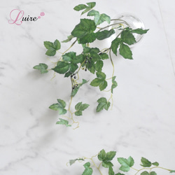 【枯れない観葉植物】実付き☆アイビーのツルのウォーターアレンジ／clayガラス使用・観葉植物 7枚目の画像