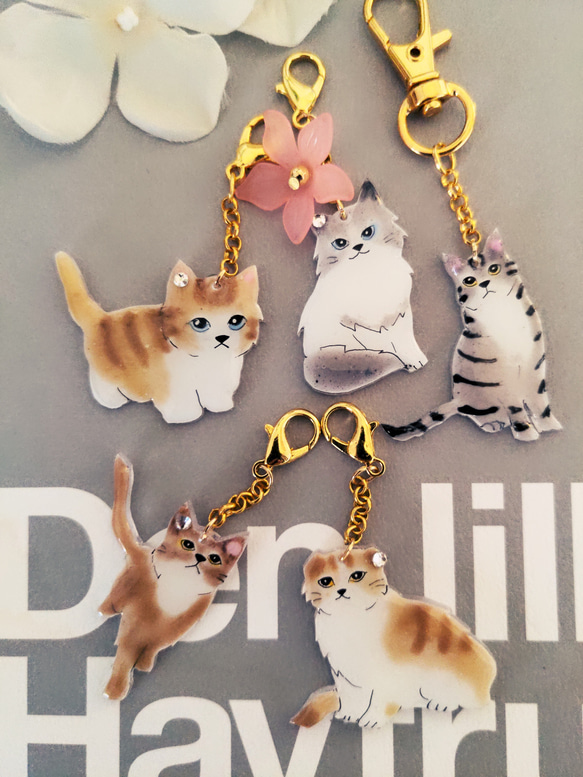 ネコ猫♡チャーム キーホルダー その他アクセサリー anpon'z