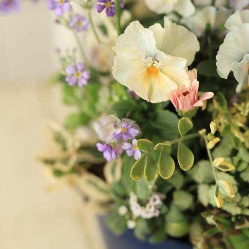 パステルカラーのギャザリング寄せ植え スワッグ 木の実と葉っぱ 通販