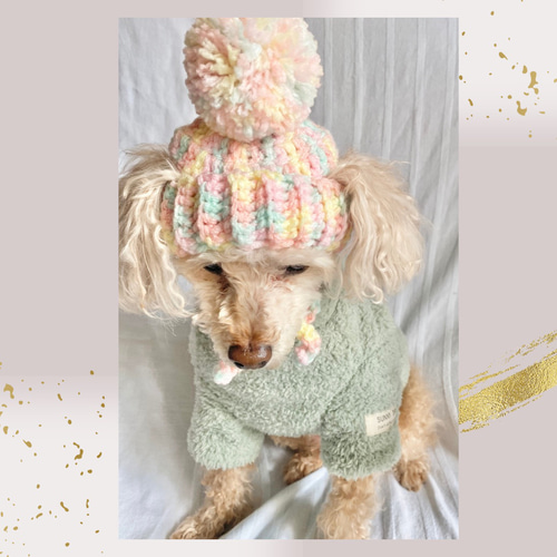 犬服 ぽぽももぽんページ ハンドメイド ハンドメイド犬服 POPO Dogwear (@popo_dogwear) • Instagram