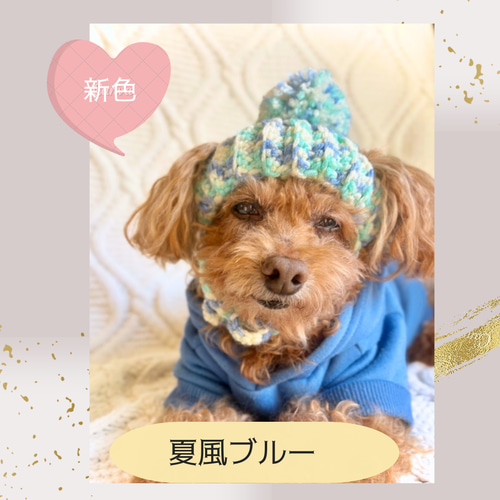 犬 ニット帽】ポンポンが可愛いニット帽 ペット服・アクセサリー