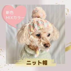 【犬 ニット帽】ポンポンが可愛いニット帽 1枚目の画像