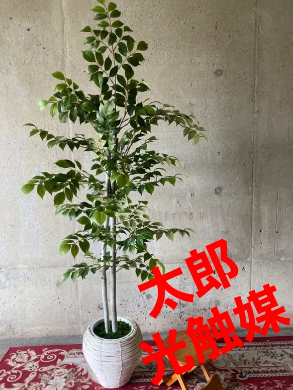 光触媒 人工観葉植物 ウォールグリーン フェイクグリーン マウンテン