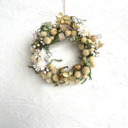 2024 初春 レモンの香り香るレモングラスのしめ縄リース ナチュラル2