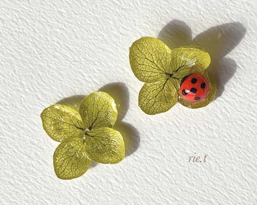 実物大　てんとう虫　オパールピアス 低 価格 通販ハンドメイド・手芸 - 実物大 てんとう虫 オパール