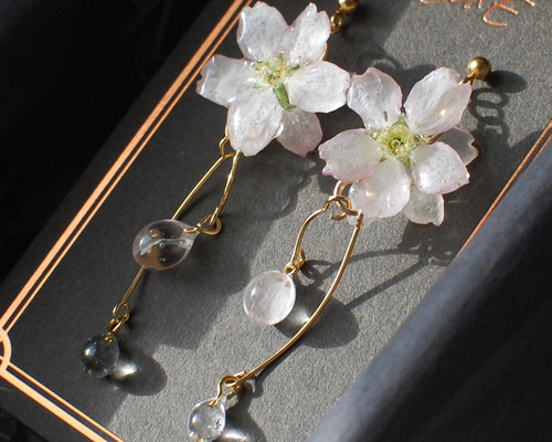 桜　淡水パール　ガラスビーズ　ピアス/イヤリング 淡水パール・ガラスビーズピアス | 商品詳細 | 高島屋オンライン