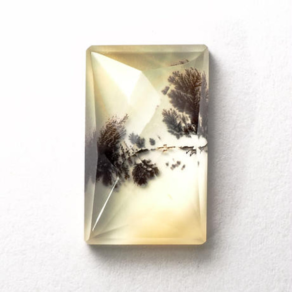 美麗ダブレット】クォーツxデンドリティックアゲート 15.9ct 天然石