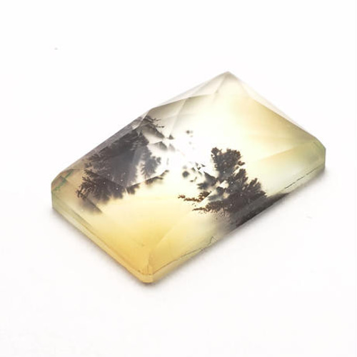 美麗ダブレット】クォーツxデンドリティックアゲート 15.9ct 天然石