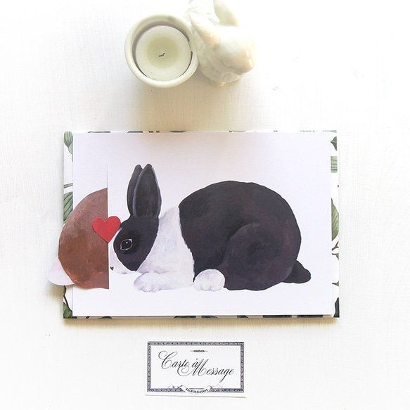 兔子親吻卡黑白兔 第1張的照片