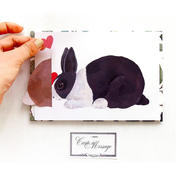 兔子親吻卡黑白兔 第2張的照片
