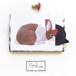 兔子親吻卡片棕色白色兔子 第1張的照片
