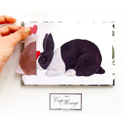 兔子親吻卡黑白兔和棕白兔一套 第3張的照片