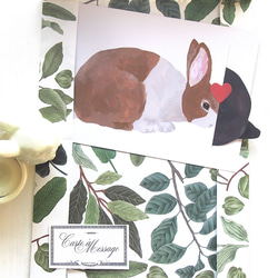 兔子親吻卡黑白兔和棕白兔一套 第13張的照片