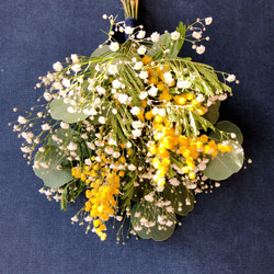 ☆ミモザのスワッグ☆【2月～3月限定】 スワッグ Balloonflower 通販