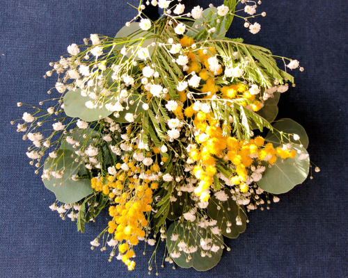 ☆ミモザとカスミソウのスワッグ☆【2月～3月限定】 スワッグ