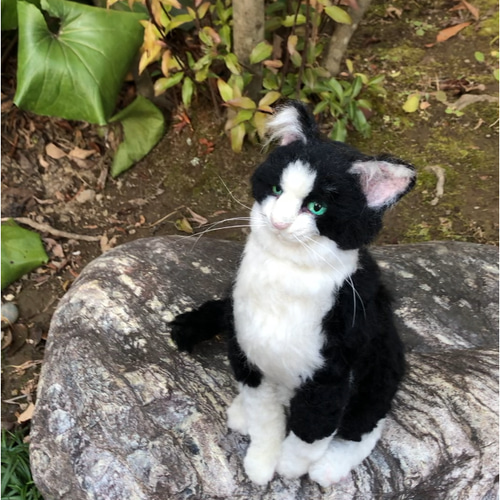 羊毛フェルト 猫 オーダーメイド受付 ハチワレ 白猫 黒猫 羊毛フェルト  