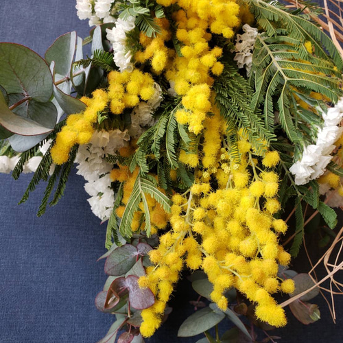 ☆ミモザのスワッグ☆【2月～3月限定】 スワッグ Balloonflower 通販