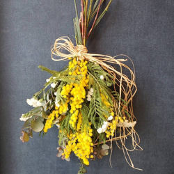 ☆ミモザのリース☆【2月～3月限定】 リース Balloonflower 通販