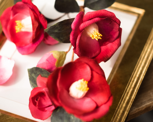 44cdfc2e1846314474f196995c4f20