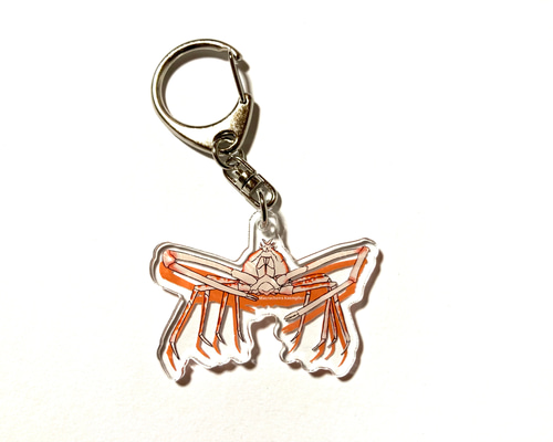 22b110c28cbae7a83aaf5510fbb0ec