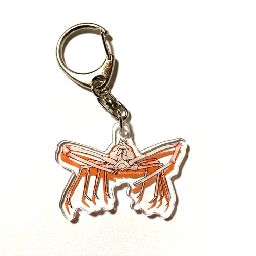 いきものアクリルキーホルダー<タカアシガニ> その他雑貨 KOMAKKOU64