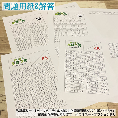 穴埋めたし算ひき算かけ算わり算カード 計算カード 計算力アップ 算数