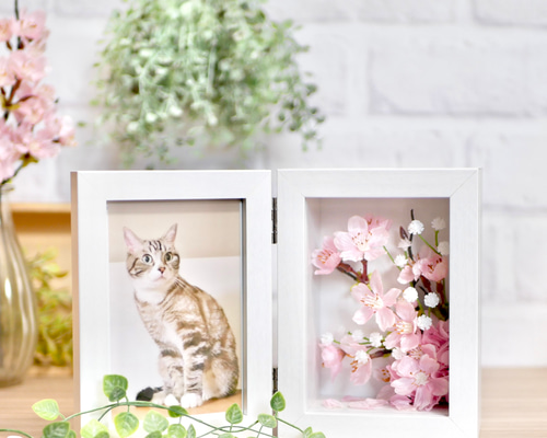 満開の桜のフォトフレーム フォトフレーム・写真立て nozomi 通販