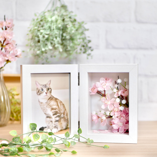 満開の桜のフォトフレーム フォトフレーム・写真立て nozomi 通販