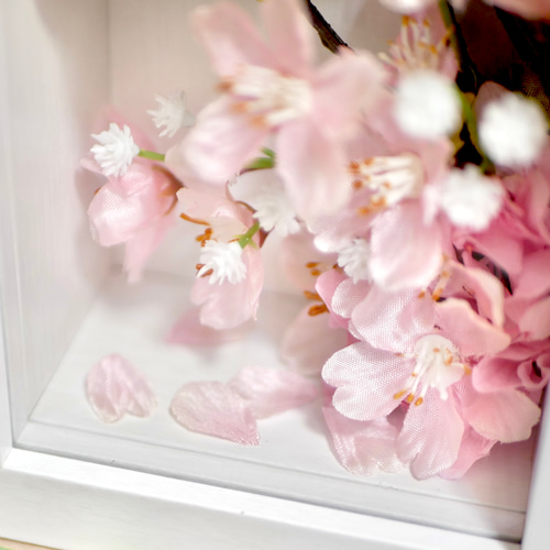 満開の桜のフォトフレーム フォトフレーム・写真立て nozomi 通販