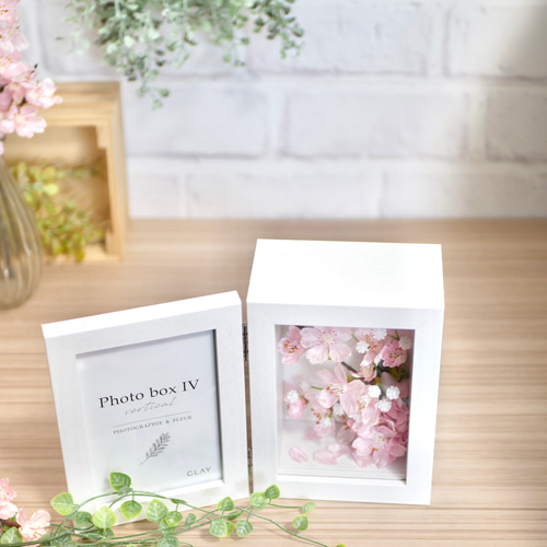 満開の桜のフォトフレーム フォトフレーム・写真立て nozomi 通販