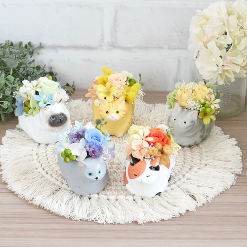 手のひらサイズの「見守り猫さん」(白猫) プリザーブドフラワー nozomi