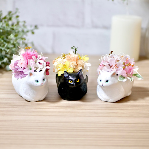 手のひらサイズの「見守り猫さん」(白猫) プリザーブドフラワー nozomi
