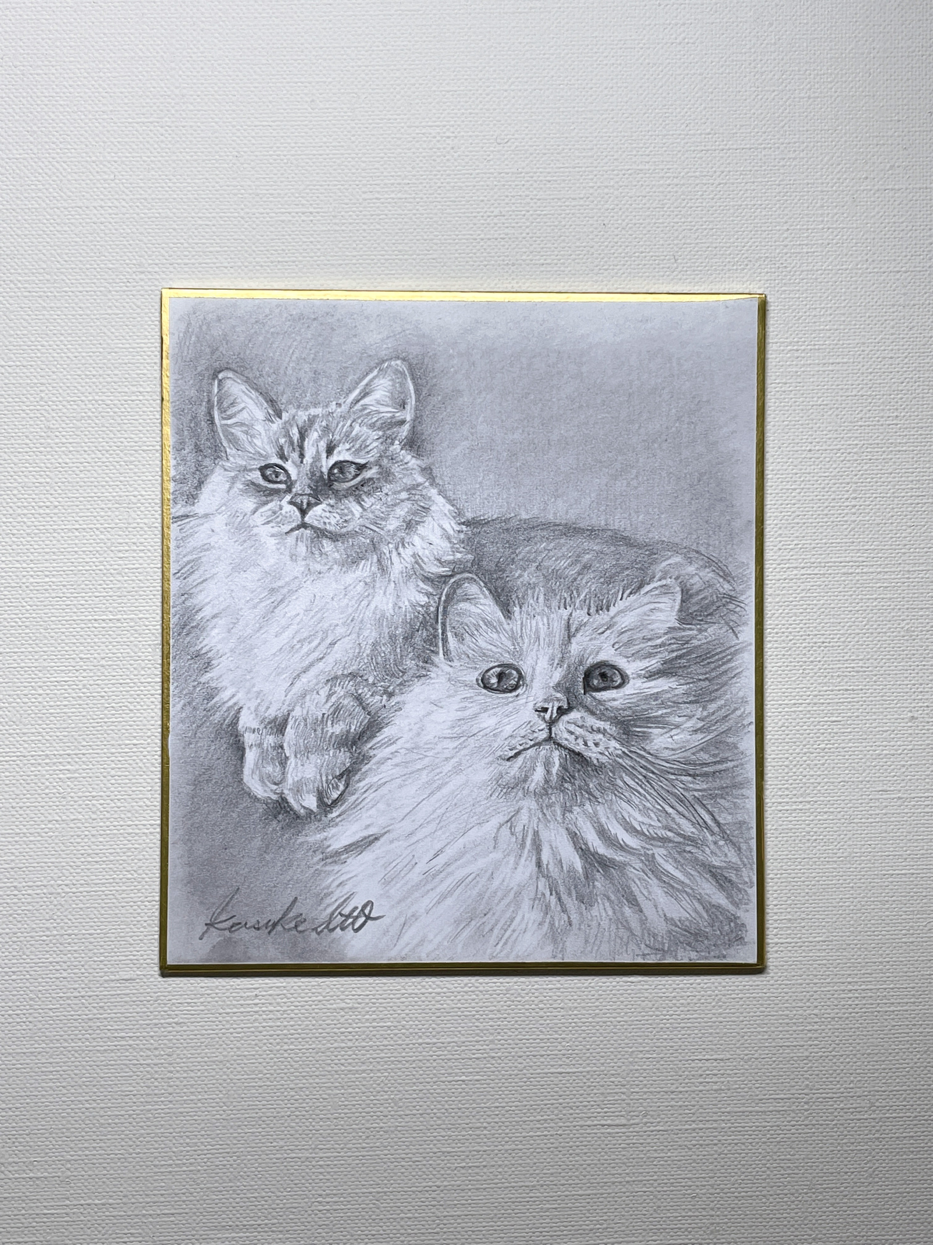 猫デッサン希望