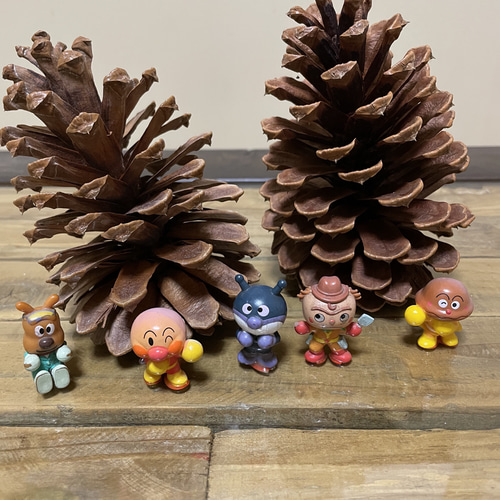 ￼ジャンボ松ぼっくり　その他 ジャンボ松ぼっくり 25個 その他素材 Karani 通販 15383059｜Creema