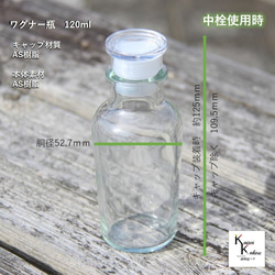 帶蓋瓶 Bottle 《瓦格納瓶 120 6 孔塞 20 瓶組》透明瓶 玻璃瓶 收納瓶 調味料 鹽 鹽 第3張的照片