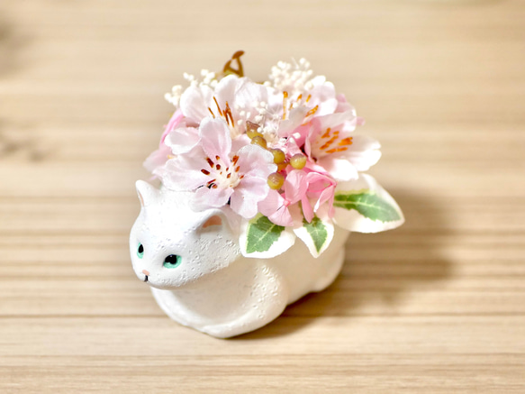 【春限定の桜アレンジ】手のひらサイズの「見守り猫さん」(白猫) 1枚目の画像