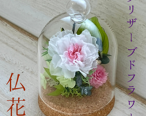 54f063166208da0a9a08fe9d654f9d