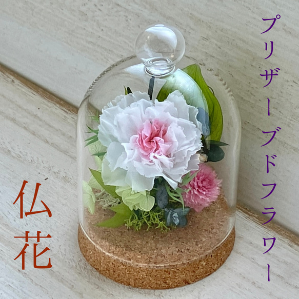 仏花 プリザーブドフラワー フラワー ガラスドーム お供え○コルク