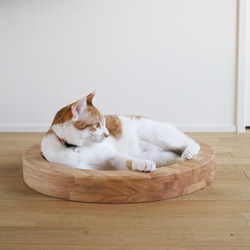 ネコマル/丸型ペット用ベッド【木製・ラバーウッド】 1枚目の画像