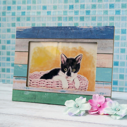 ポストカード猫パステル画３枚セット　〈保護猫カフェのやんちゃな子猫ちゃん達〉 5枚目の画像