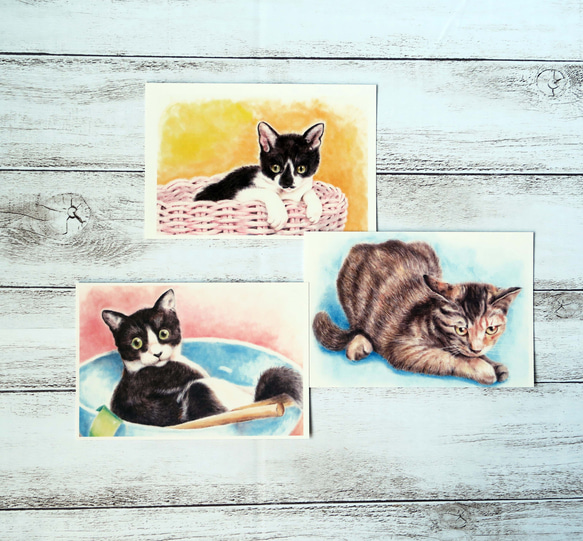 猫のパステル画（サイン入り） 猫のパステル画（サイン入り） 猫のパステル画（サイン入り