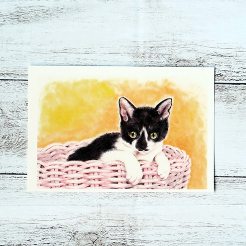 猫のパステル画（サイン入り） 162dd4775481e7cfe848cb5e770158
