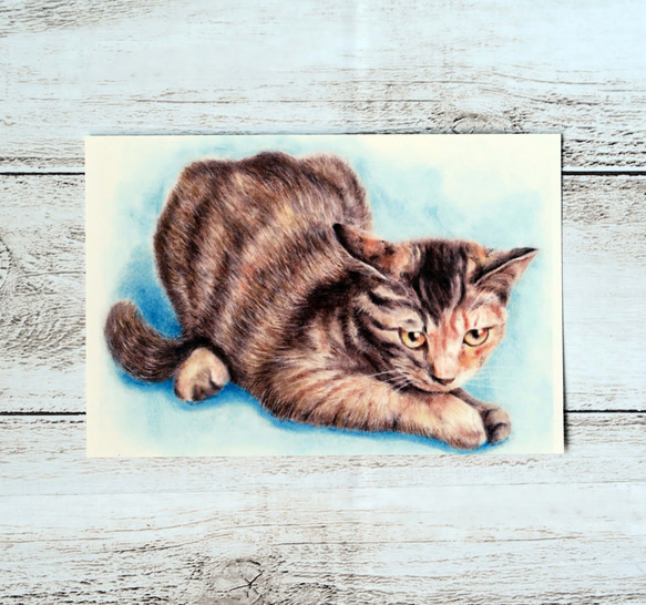 ポストカード猫パステル画３枚セット　〈保護猫カフェのやんちゃな子猫ちゃん達〉 4枚目の画像