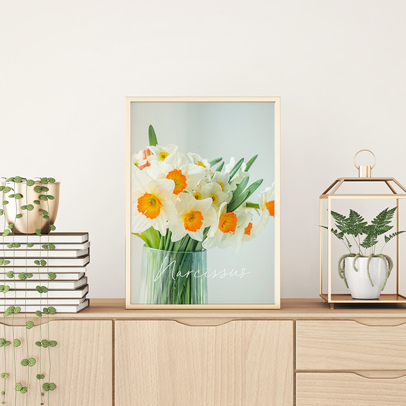 春の花のフォトポスター　/ i1190 / 黄色いミモザ、スイセンなど　インテリアポスター 2枚目の画像