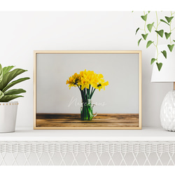 春の花のフォトポスター　/ i1185 / 黄色いミモザ、スイセンなど　インテリアポスター 6枚目の画像
