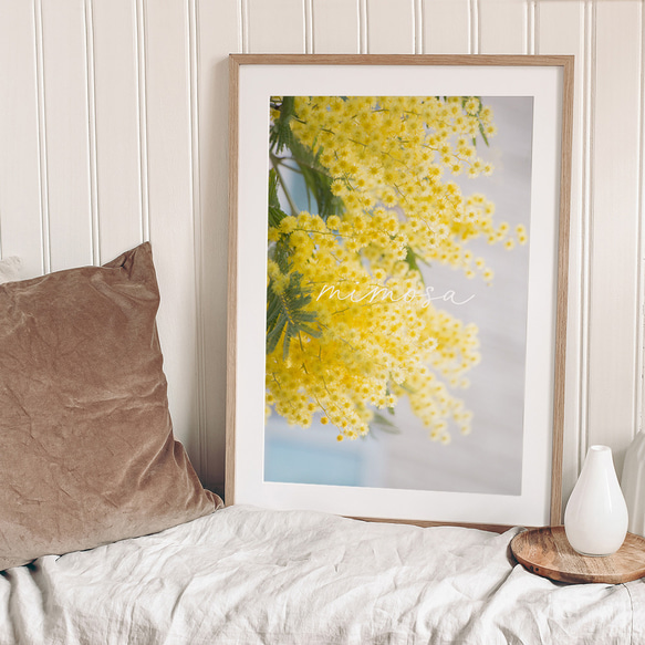 春の花のフォトポスター　/ i1184 / 黄色いミモザ、スイセンなど　インテリアポスター 2枚目の画像