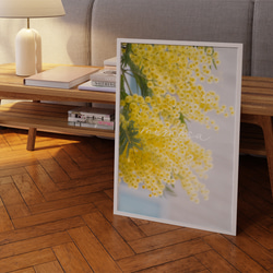 春の花のフォトポスター　/ i1184 / 黄色いミモザ、スイセンなど　インテリアポスター 5枚目の画像