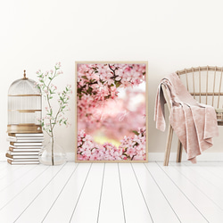 春の花のフォトポスター　/ i1197 / ピンクの桜、モクレン、バラなど　インテリアポスター 1枚目の画像