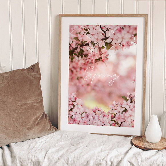 春の花のフォトポスター　/ i1197 / ピンクの桜、モクレン、バラなど　インテリアポスター 3枚目の画像